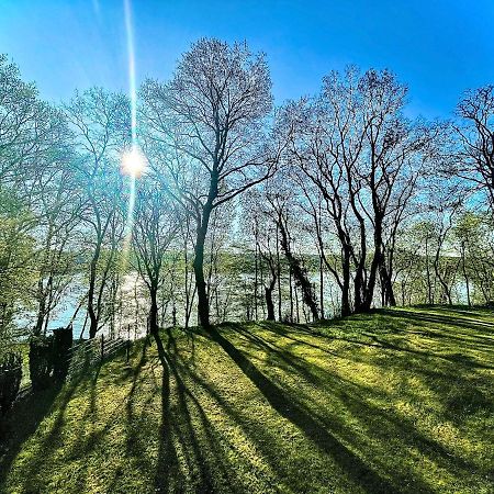 100m2 Naturidylle am Wald&See mit 1200m2 Garten Schwielowsee Exterior foto