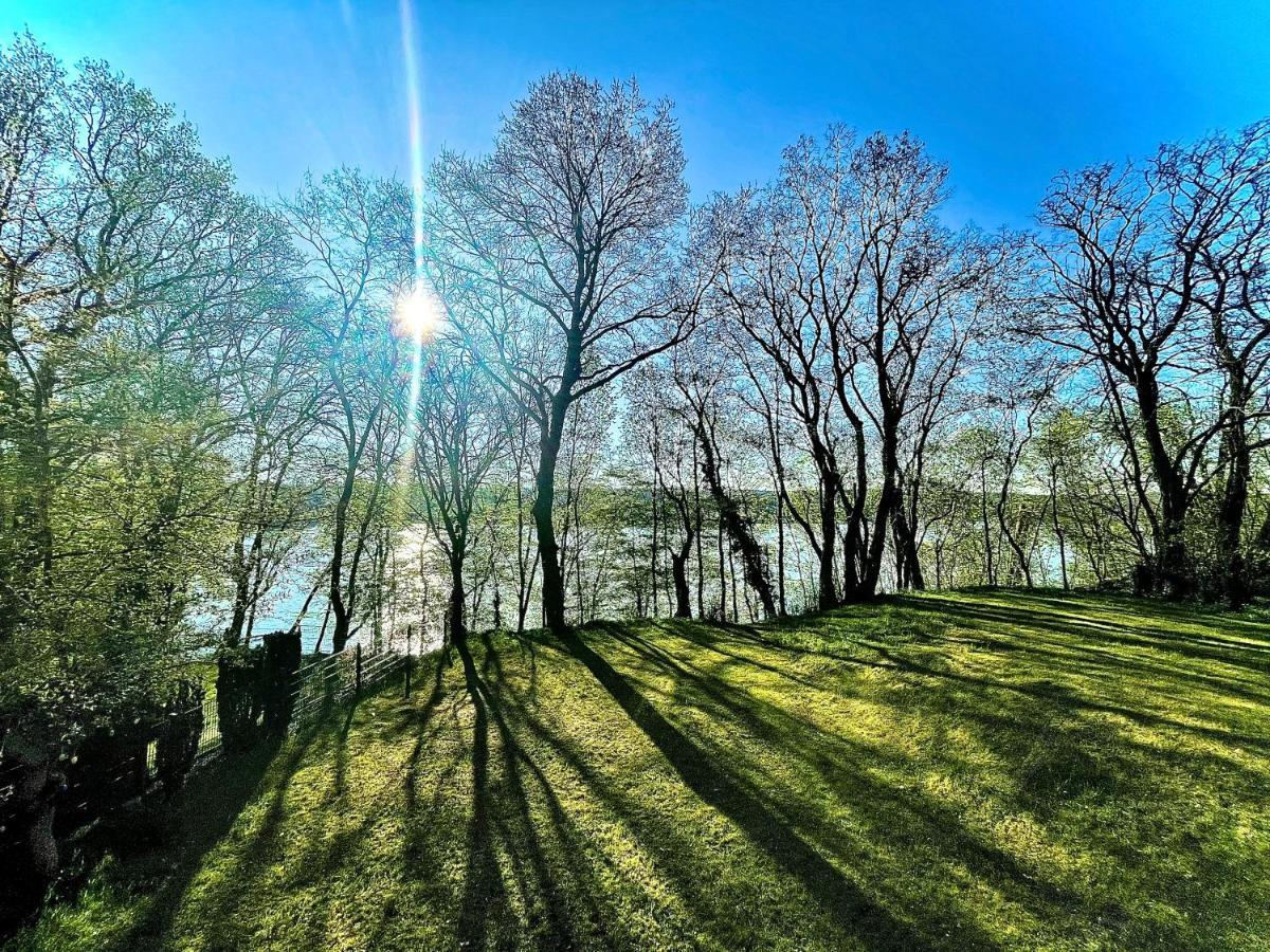 100m2 Naturidylle am Wald&See mit 1200m2 Garten Schwielowsee Exterior foto